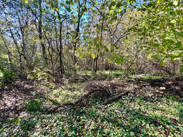 $39,900 | 0 Pearl Avenue, Chickamauga, GA 30707