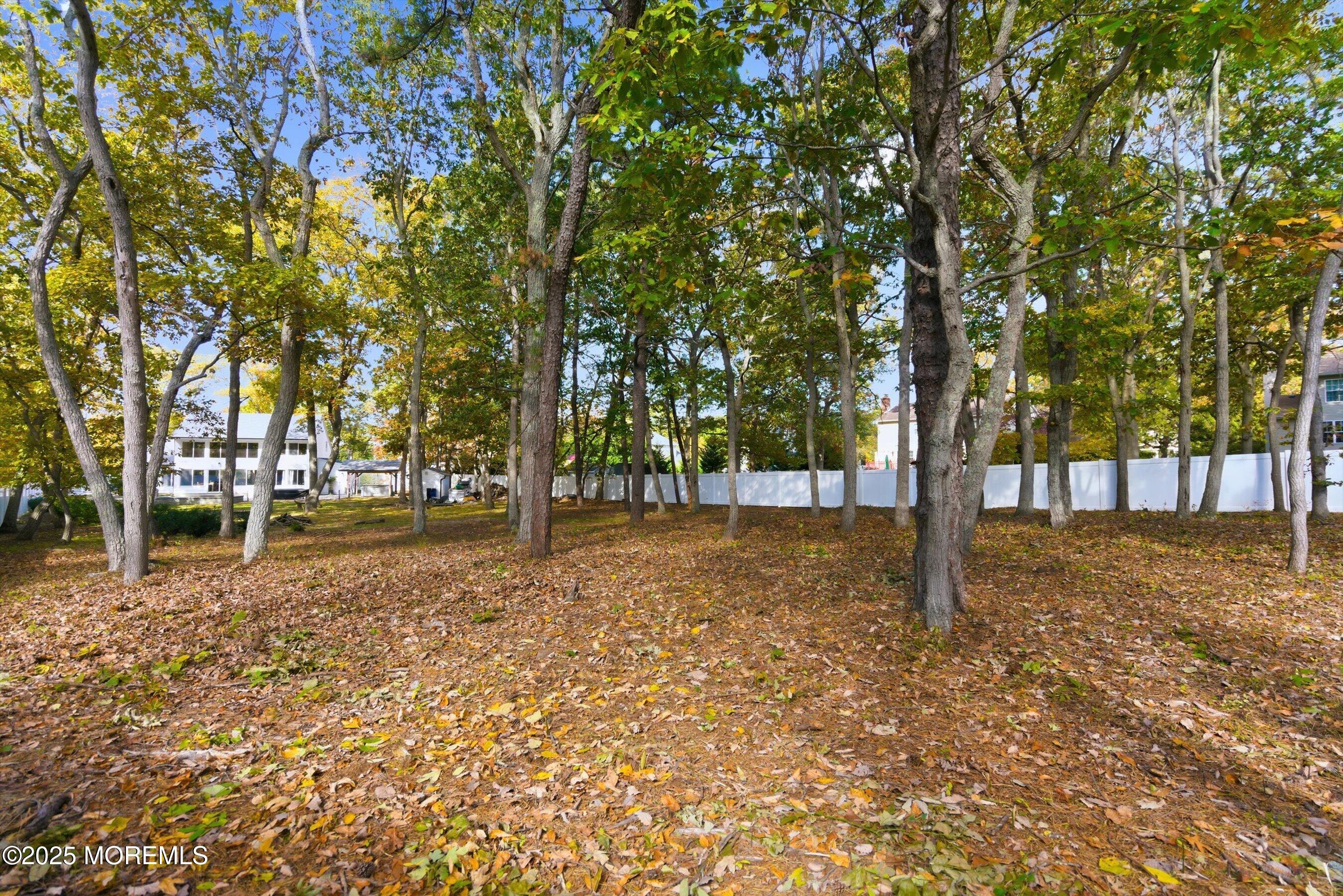 409 Aldrich Road Howell, NJ 07731 - Photo 26 of 27 a tree in the middle of a yard