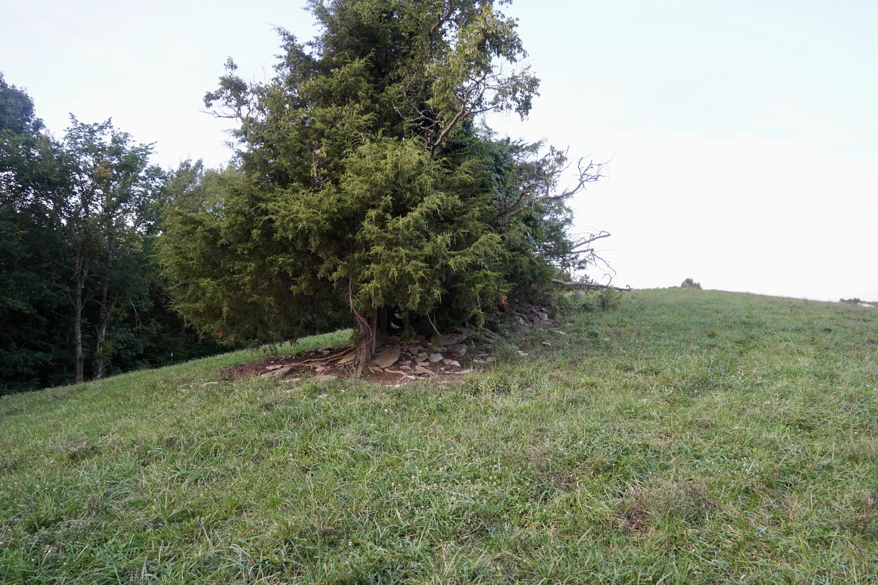 6265 Georgetown Road Owenton, KY 40359 - Photo 71 of 149 OWEN24040