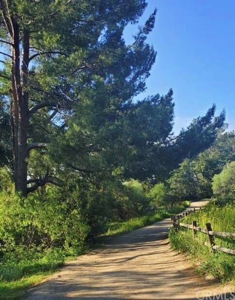 3110 Cochise Way, Unit 103 Fullerton, CA 92833 - Photo 14 of 14 a view of a yard