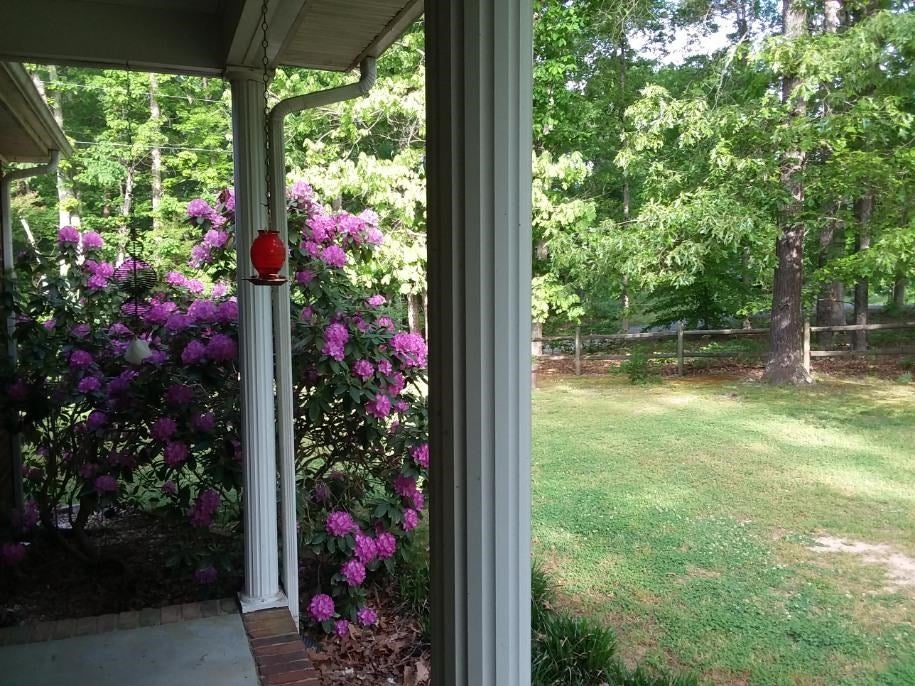 1192 Grape Lawn Road Burkeville, VA 23922 - Photo 4 of 30 Gallery Image 4