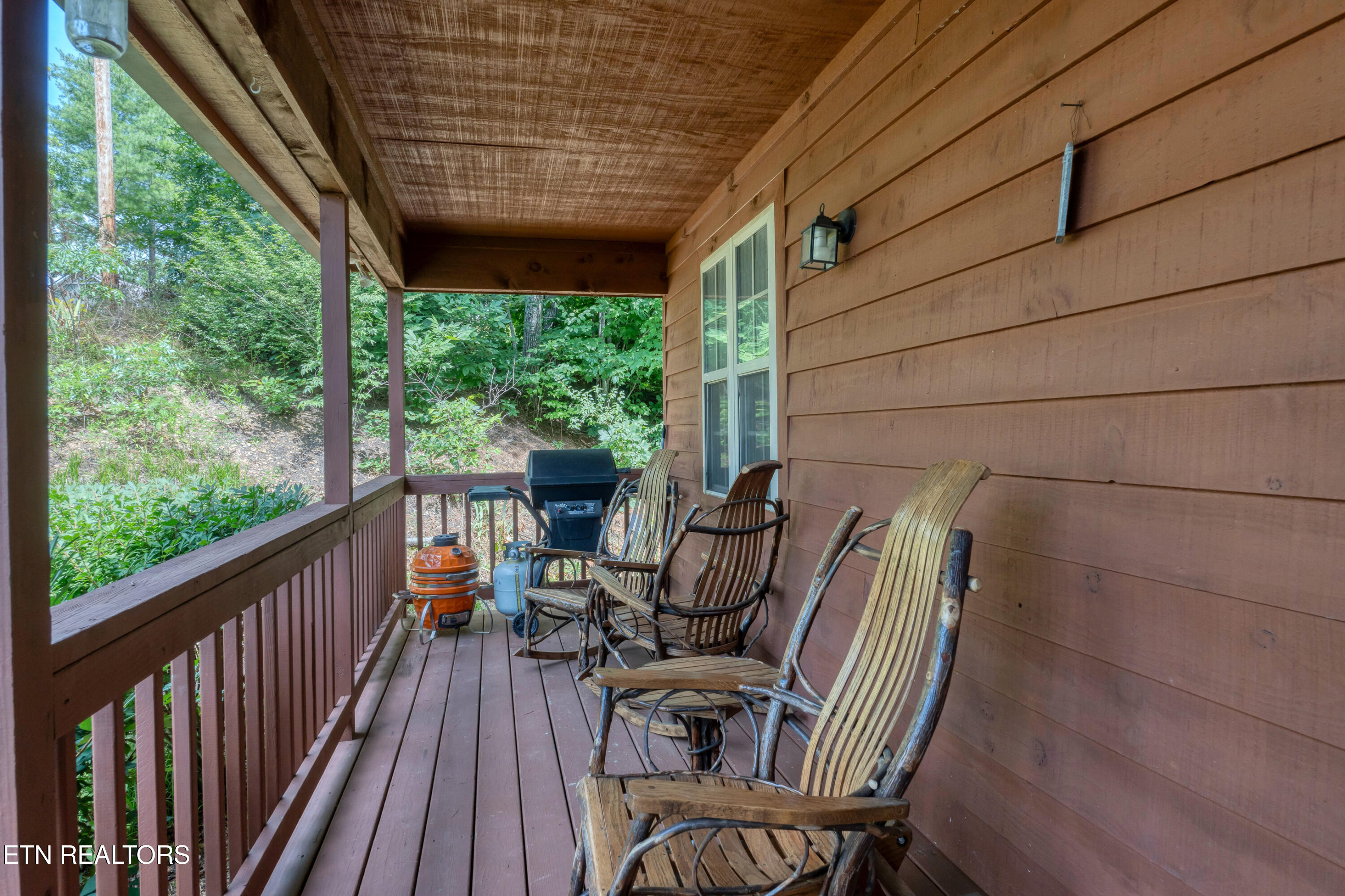 233 Ace Gap Road Townsend, TN 37882 - Photo 3 of 38 DSC09447