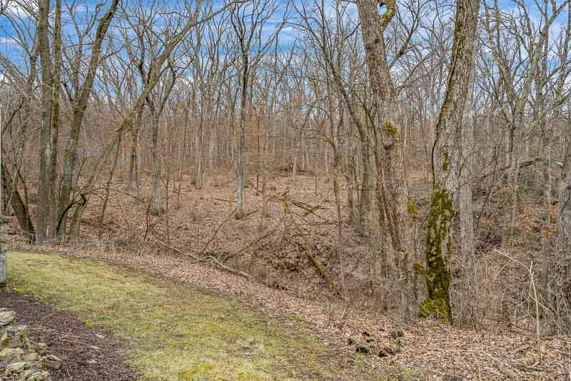 3134 North River Road Oregon, IL 61061 - Photo 58 of 59 a view of a yard with trees