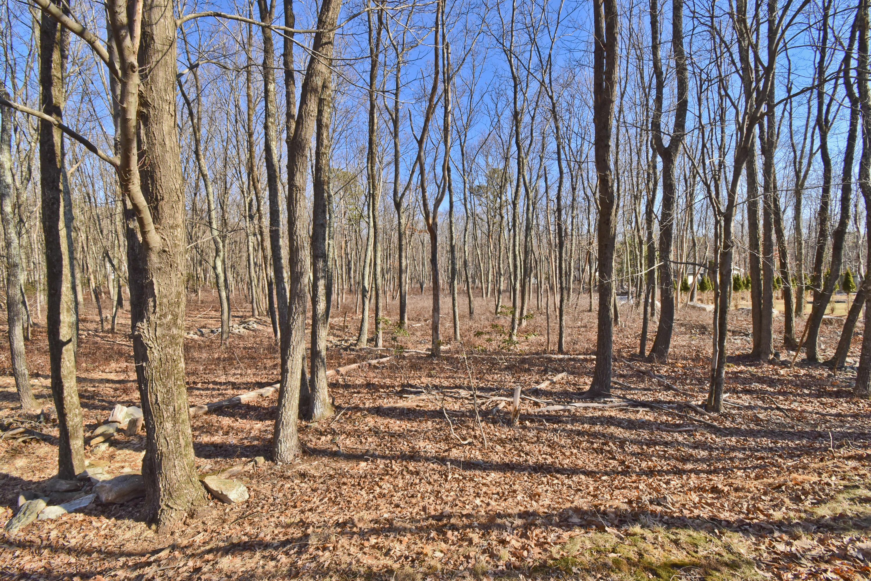 2181 Village Road Effort, PA 18330 - Photo 23 of 35 11 Back (2)