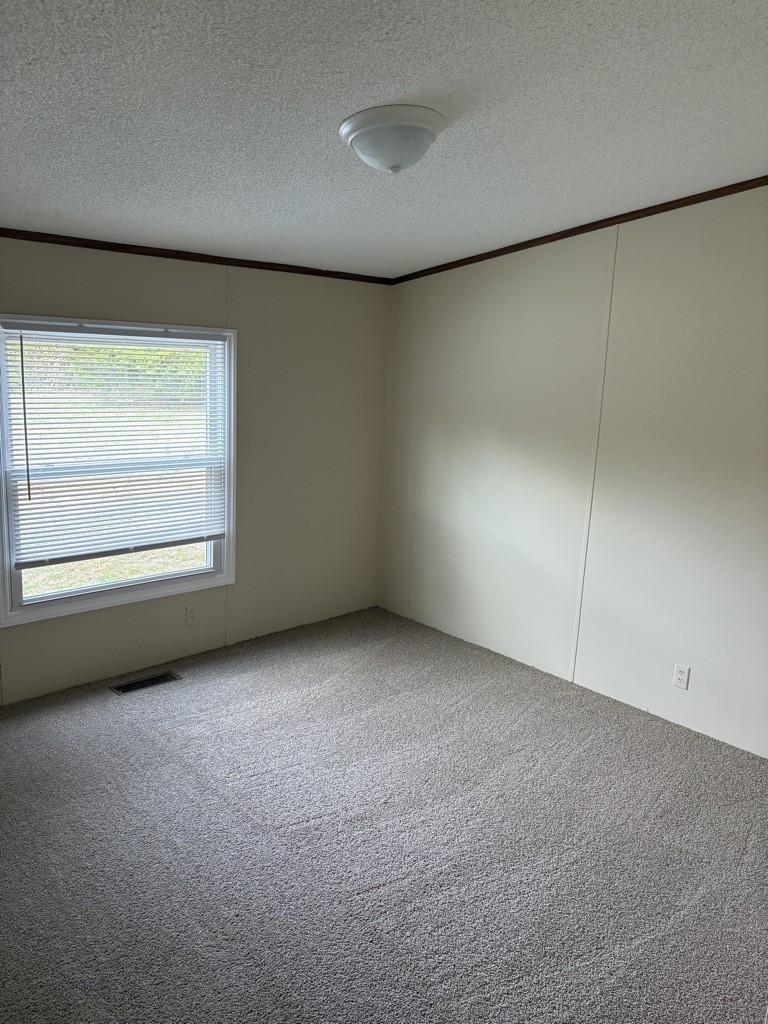 197 Switchboard Road Alexandria, TN 37012 - Photo 11 of 24 Gallery Image 11