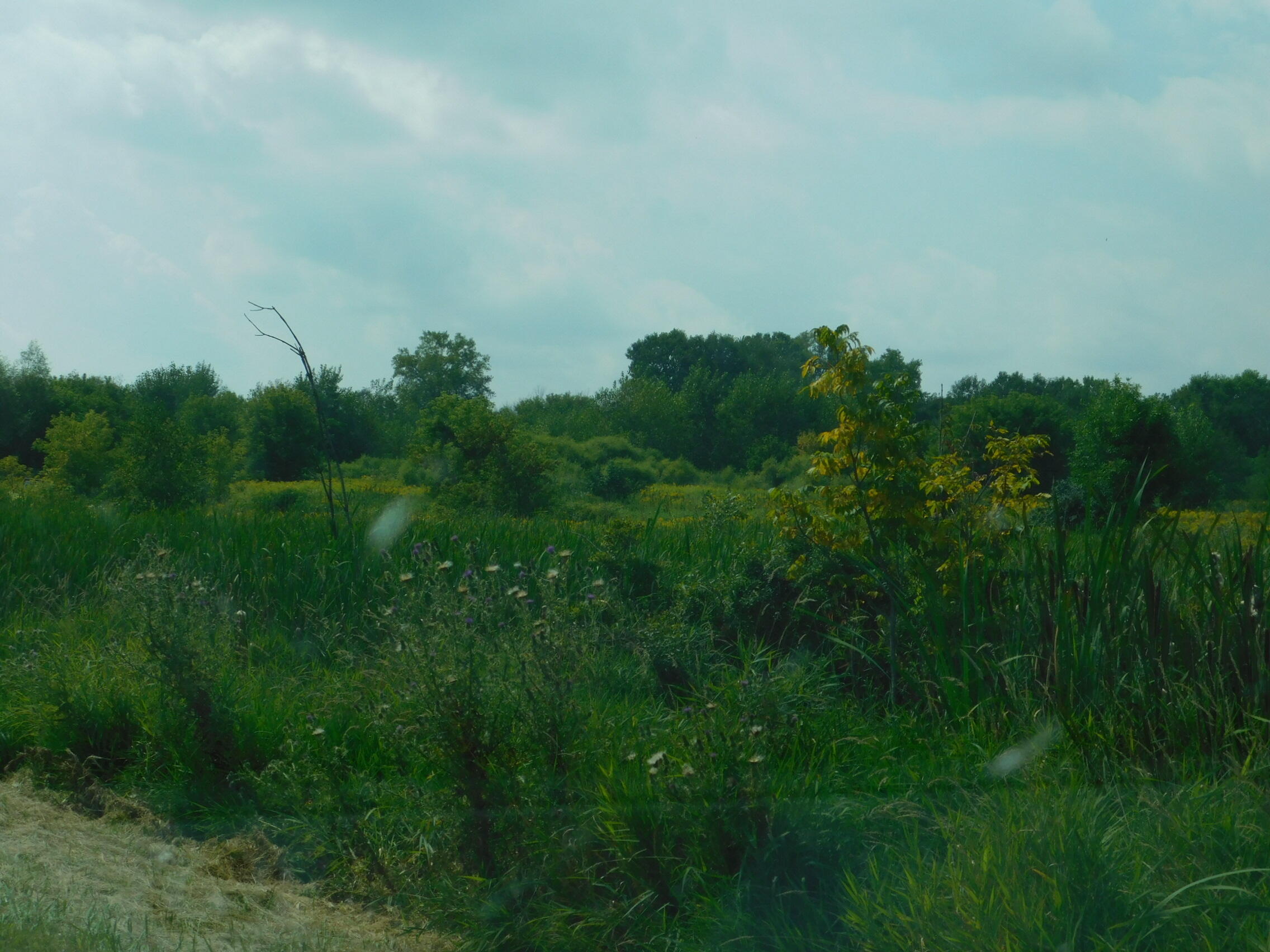 1380 Beauprey Road Shawano, WI 54166 - Photo 12 of 20 DSCN4573