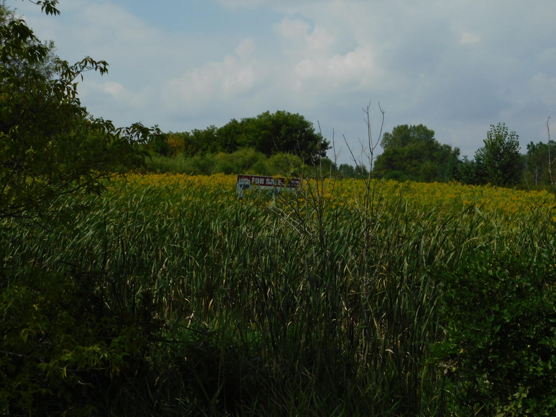 1380 Beauprey Road Shawano, WI 54166 - Photo 15 of 20 DSCN4576