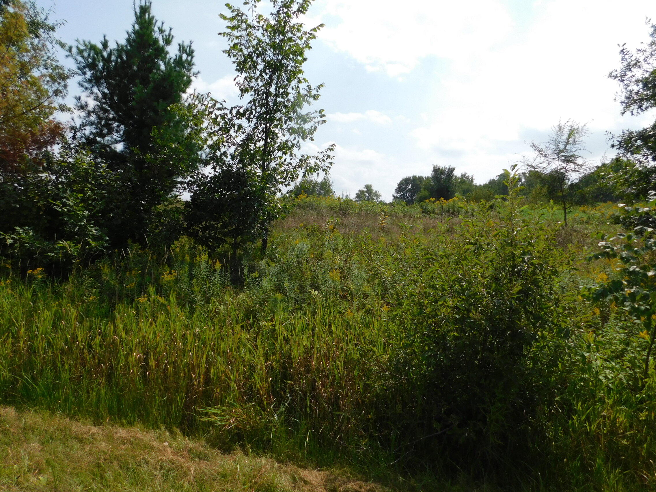 1380 Beauprey Road Shawano, WI 54166 - Photo 7 of 20 DSCN4566