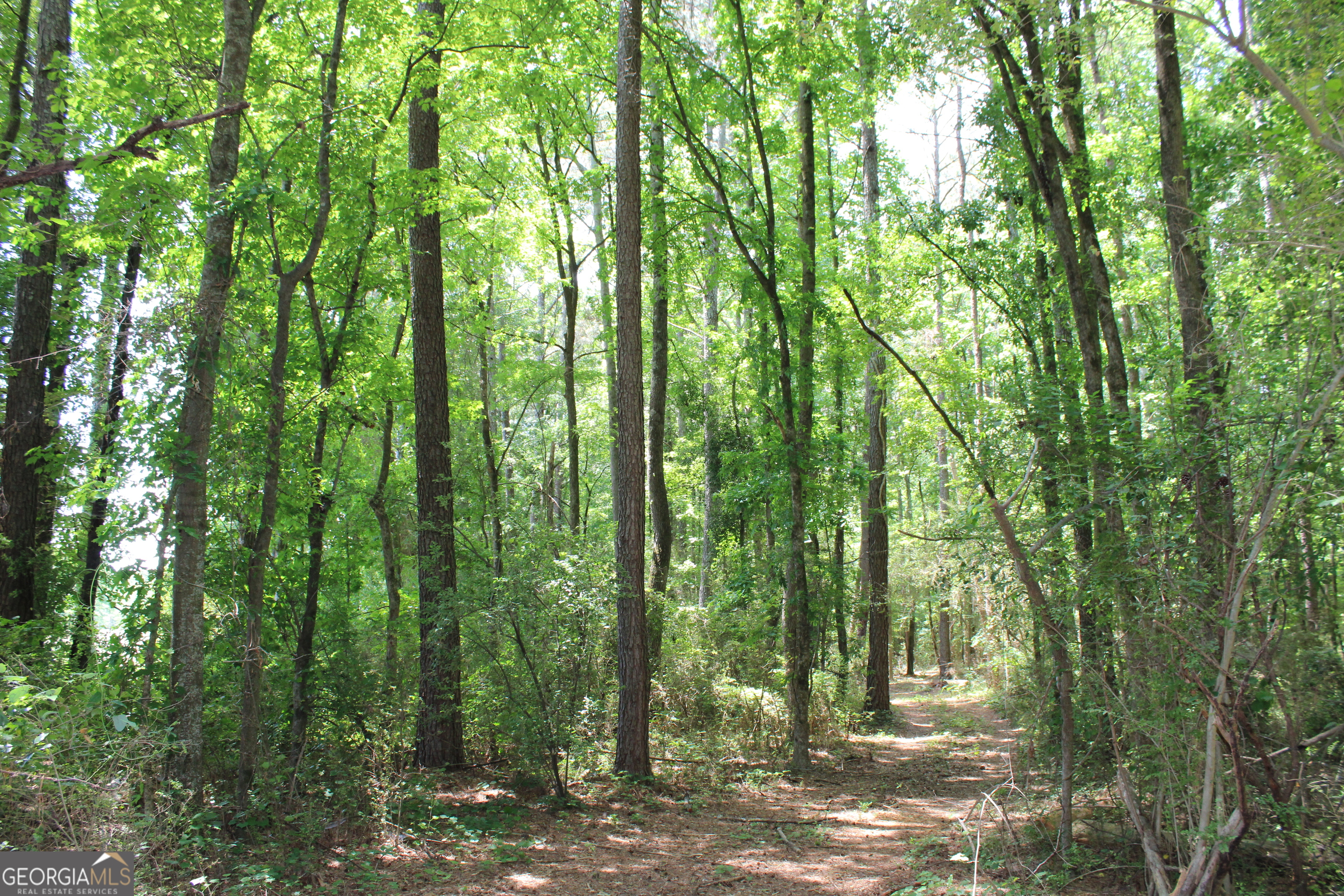 1 Neese Commerce Road Commerce, GA 30530 - Photo 3 of 16
