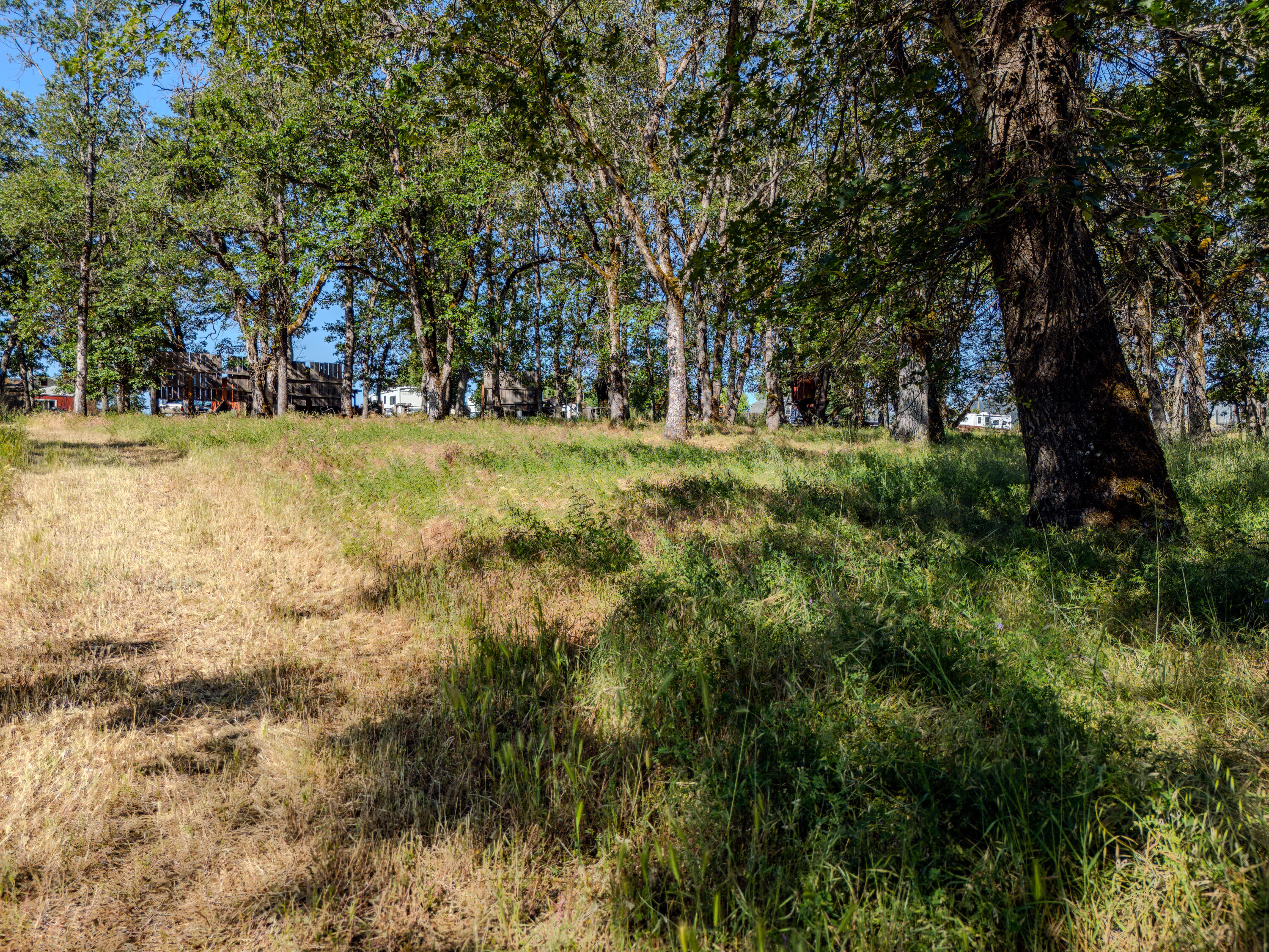 11775 Michael Road White City, OR 97503 - Photo 9 of 17 a view of outdoor space with trees