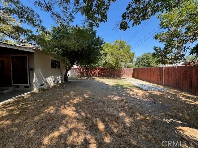 a view of a backyard with plants and large tree
