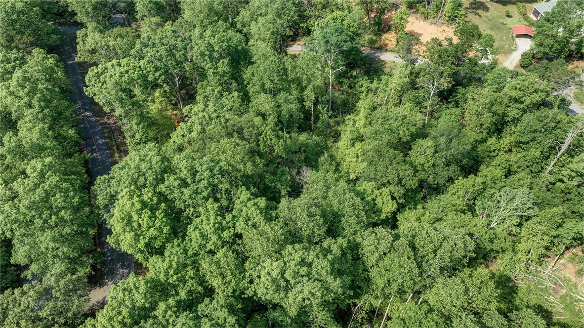 0 Ridge Point Road Easley, SC 29640 - Photo 15 of 17 Gallery Image 15
