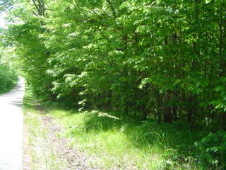 0 Green Road Ellison Bay, WI 54210 - Photo 1 of 1 Main View