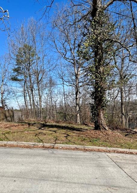 0 Rome Drive Northwest Atlanta, GA 30314 - Photo 3 of 8 a view of a tiny house with a yard