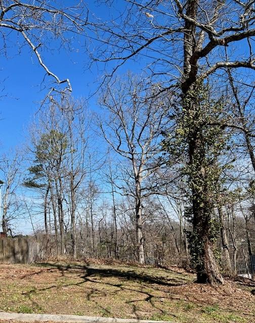 0 Rome Drive Northwest Atlanta, GA 30314 - Photo 5 of 8 a view of a yard with wooden fence