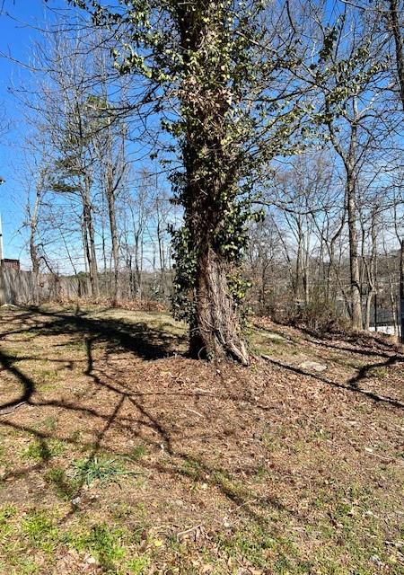 0 Rome Drive Northwest Atlanta, GA 30314 - Photo 6 of 8 a view of a yard with wooden fence