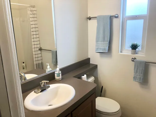 a bathroom with a sink a toilet and mirror
