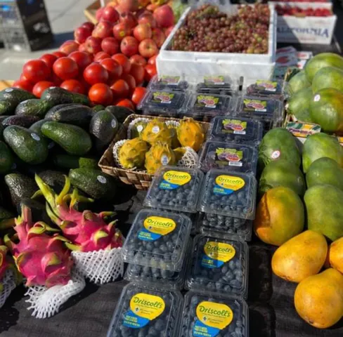a view of swimming pool