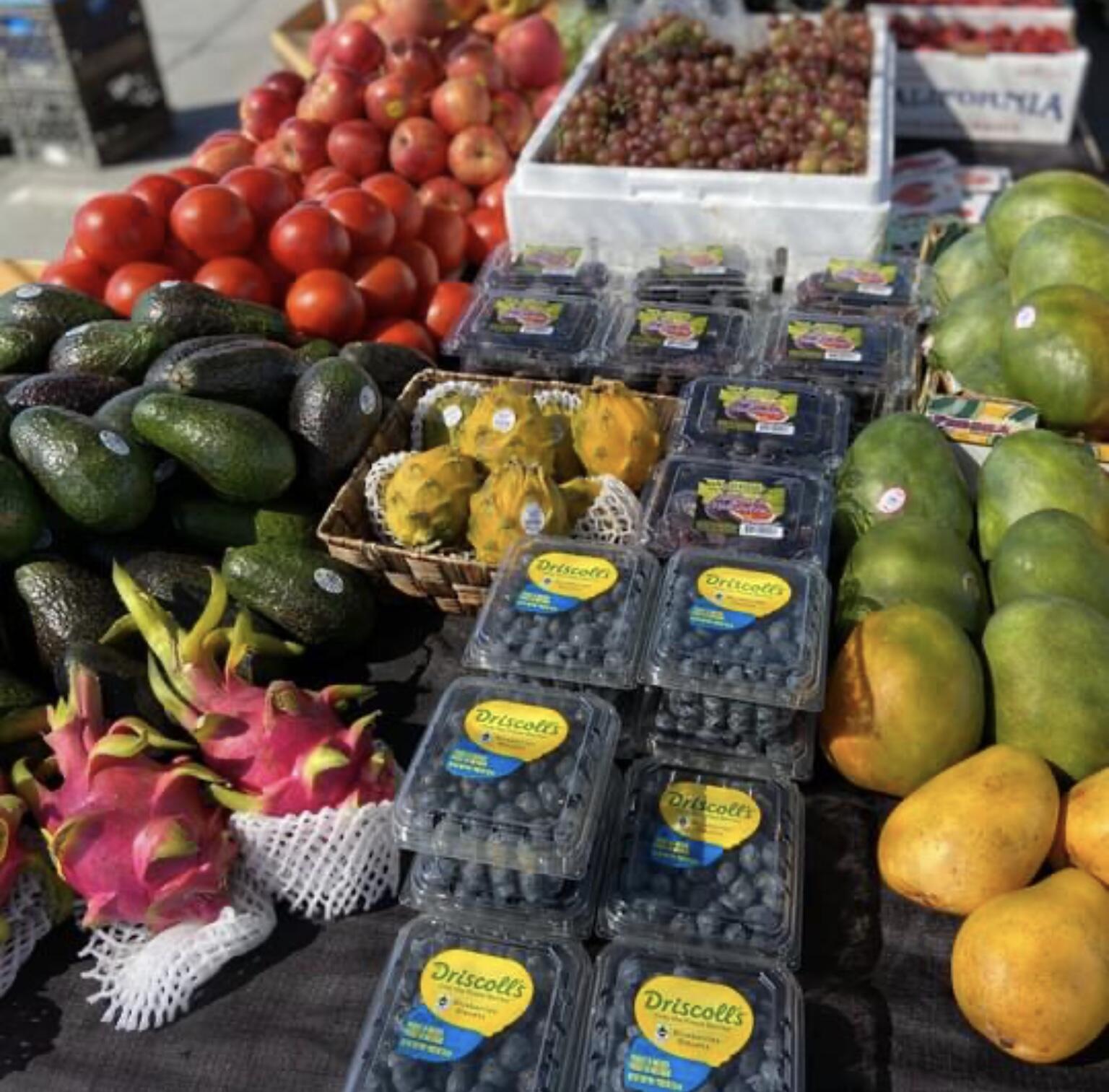 74711 Dillon Road Desert Hot Springs, CA 92241 - Photo 28 of 44 a view of swimming pool