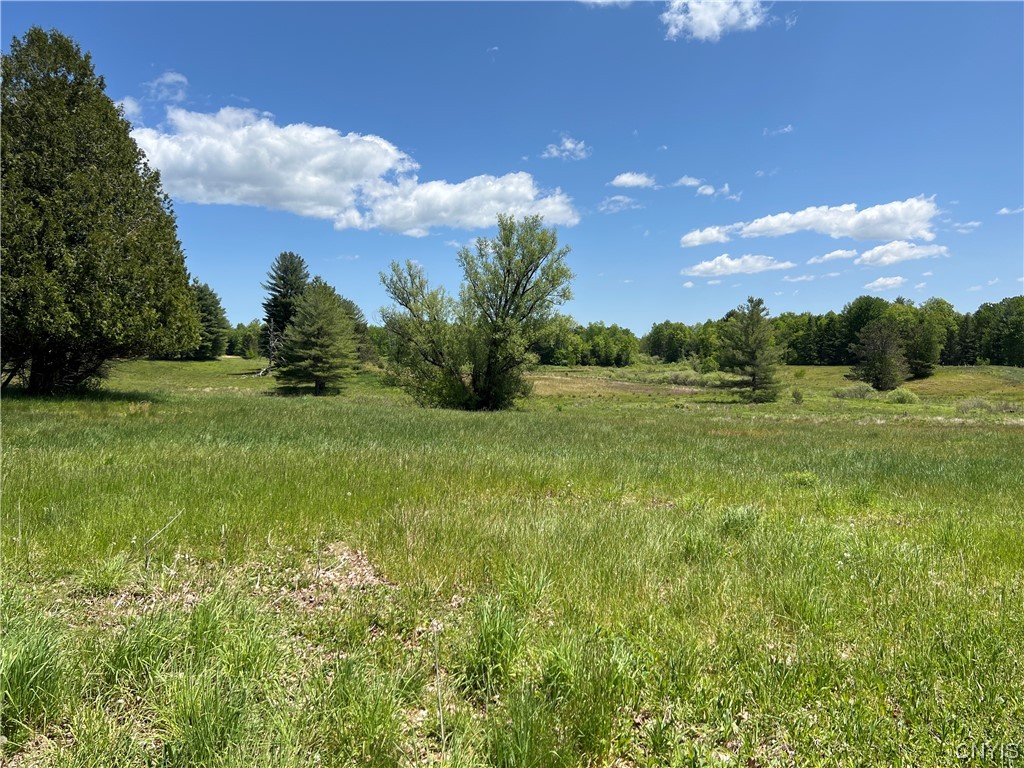 5219 Rome-Taberg Road Rome, NY 13440 - Photo 13 of 19