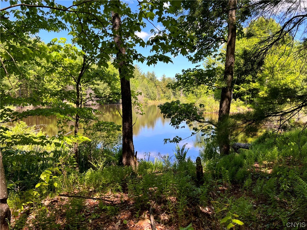 5219 Rome-Taberg Road Rome, NY 13440 - Photo 14 of 19