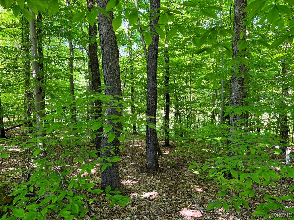 5219 Rome-Taberg Road Rome, NY 13440 - Photo 18 of 19