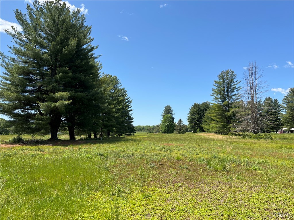 5219 Rome-Taberg Road Rome, NY 13440 - Photo 2 of 19