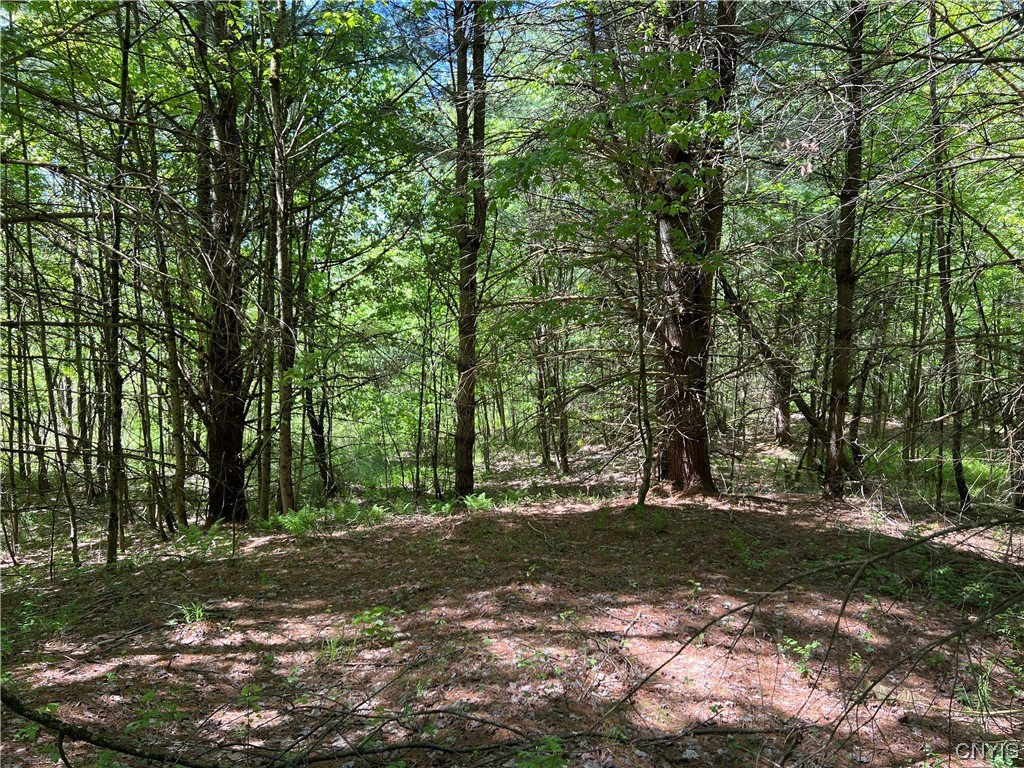 5219 Rome-Taberg Road Rome, NY 13440 - Photo 6 of 19