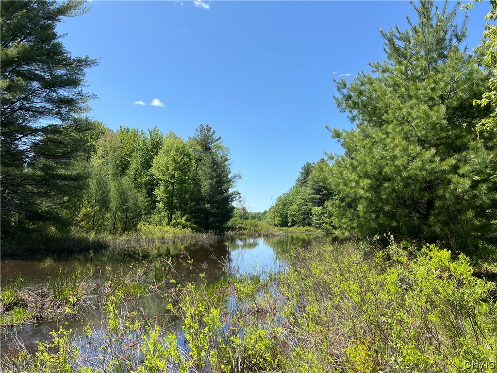 5219 Rome-Taberg Road Rome, NY 13440 - Photo 7 of 19