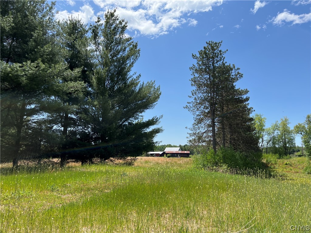 5219 Rome-Taberg Road Rome, NY 13440 - Photo 8 of 19