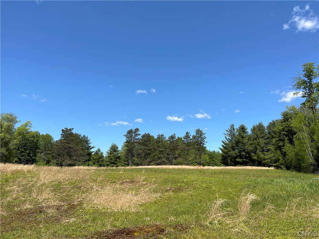 5219 Rome-Taberg Road Rome, NY 13440 - Photo 9 of 19