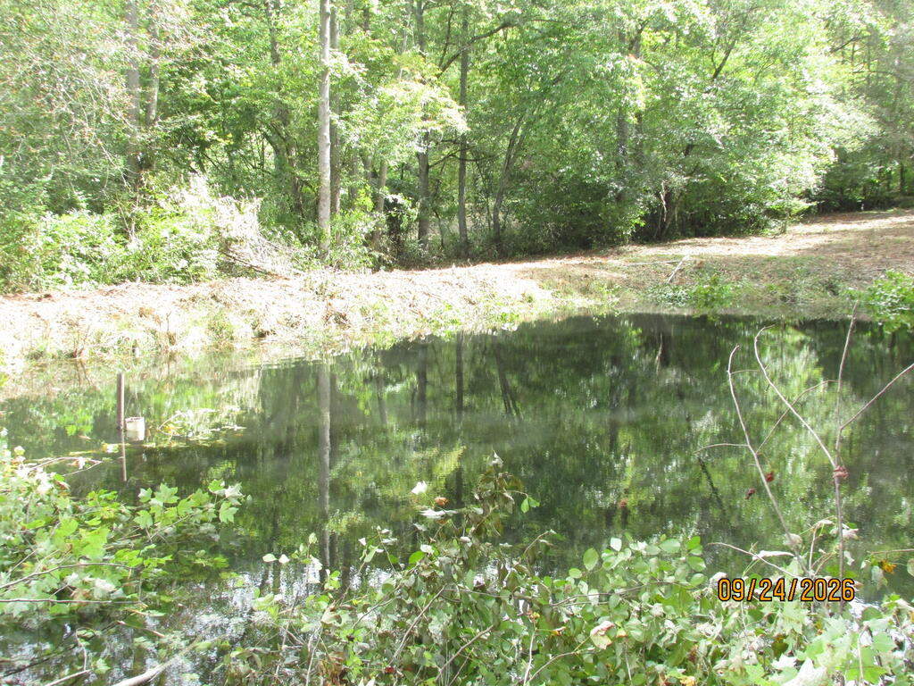 0 Cowart Road Hayesville, NC 28904 - Photo 17 of 20 Gallery Image 17