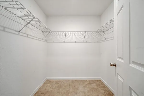 a bathroom with a shower and a toilet