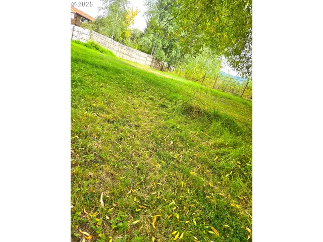 a view of a garden from a window