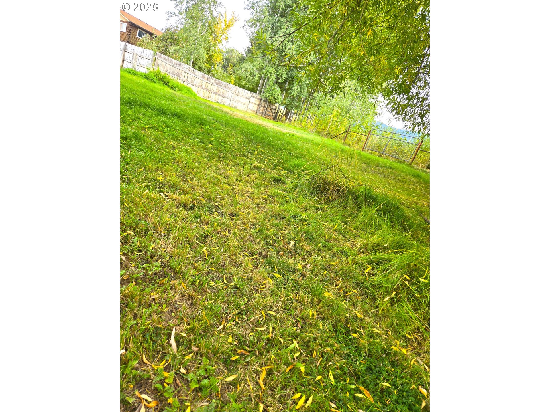 250 2nd Street Long Creek, OR 97856 - Photo 3 of 25 a view of a garden from a window