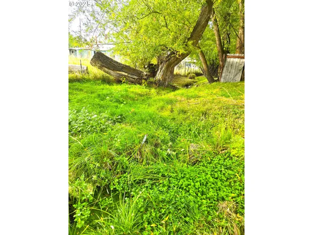 a backyard of a house with lots of green space