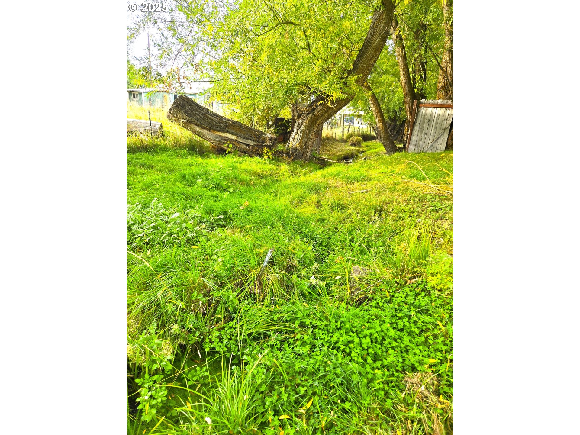 250 2nd Street Long Creek, OR 97856 - Photo 6 of 25 a backyard of a house with lots of green space