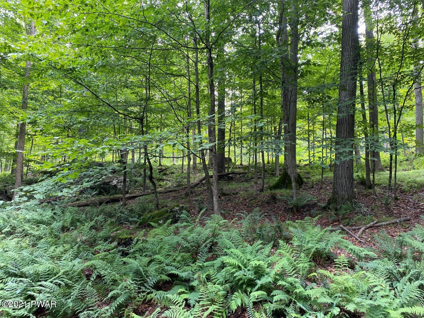 93 Ridge Road Lake Ariel, PA 18436 - Photo 8 of 40