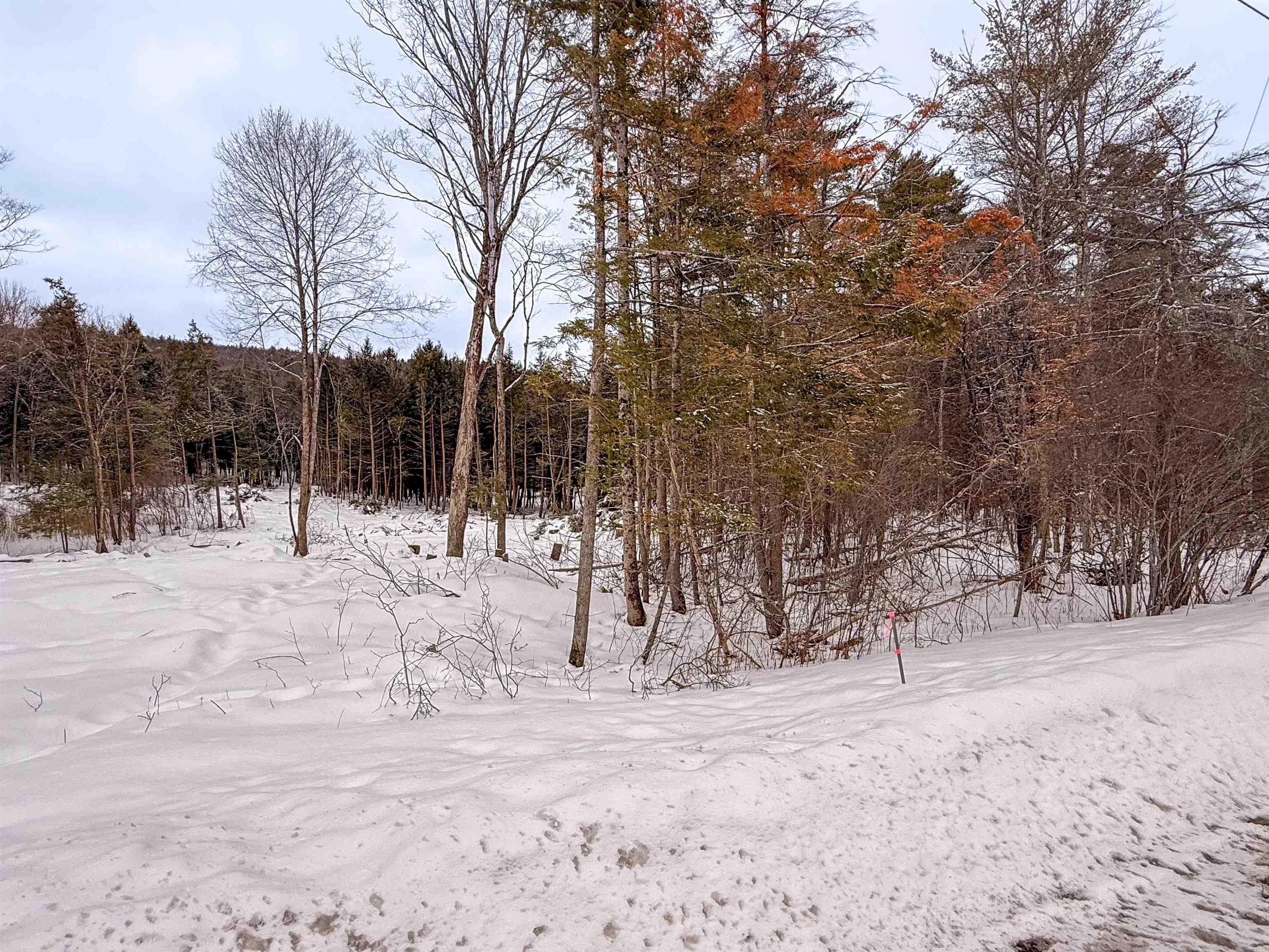 0 Hetzel Road Lebanon, NH 03766 - Photo 5 of 6