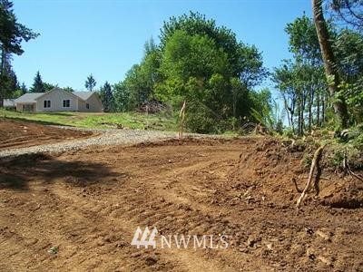 0000 Avery Road West Winlock, WA 98596 - Photo 1 of 1