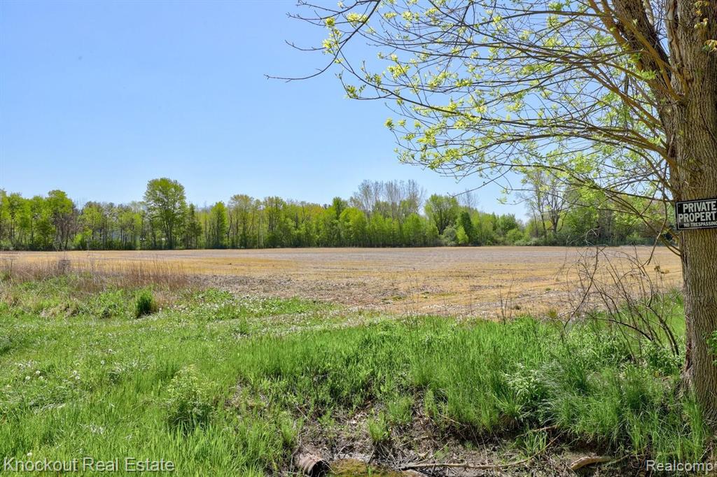 9000 Lange Road Birch Run, MI 48415 - Photo 16 of 17 Gallery Image 16