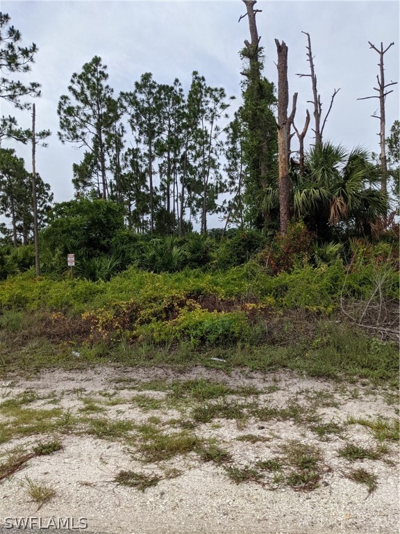 2840 Meadow Road Lehigh Acres, FL 33913 - Photo 3 of 3 a view of a yard with plants and trees