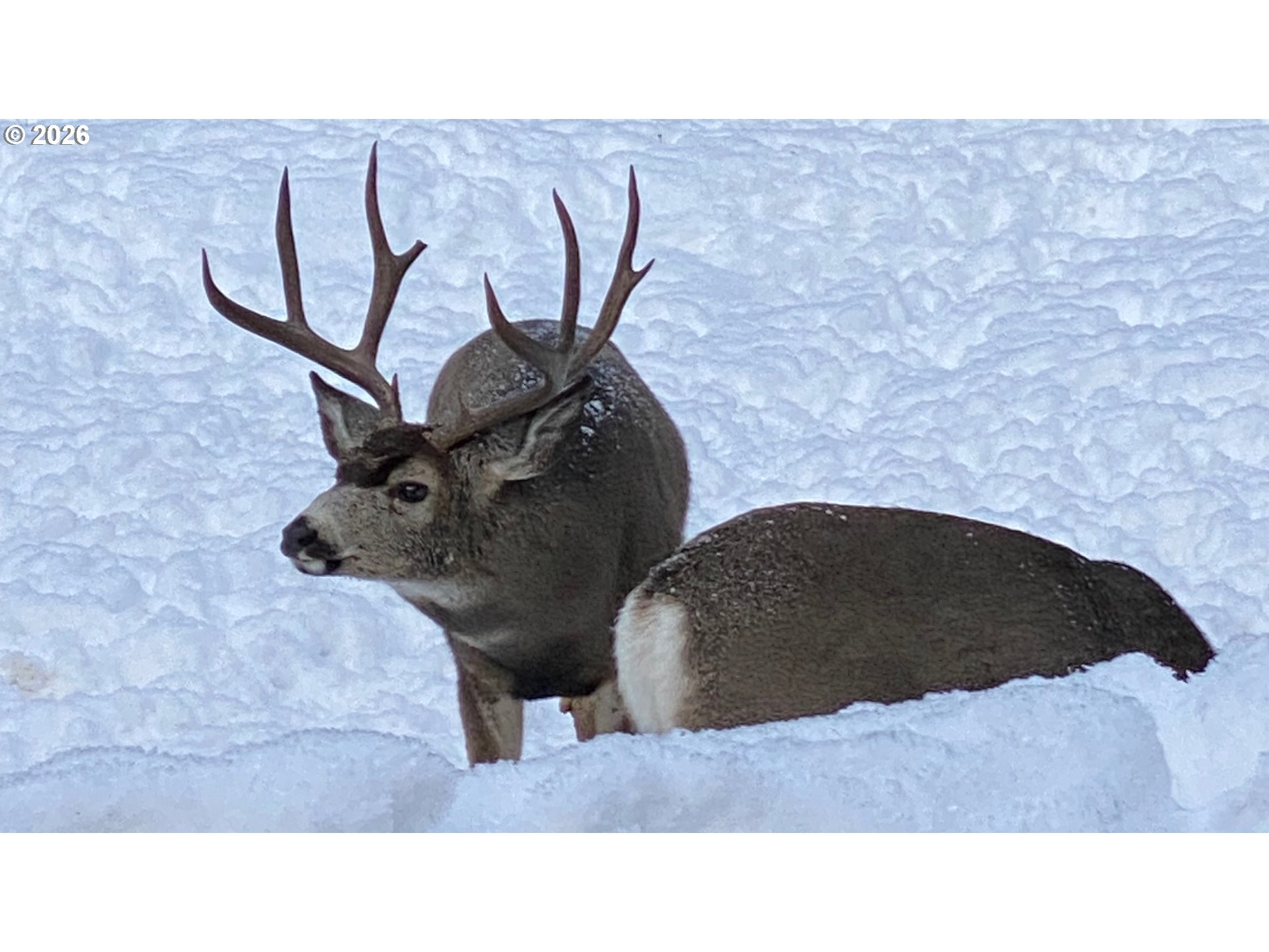 60839 Liberty Road Joseph, OR 97846 - Photo 25 of 31