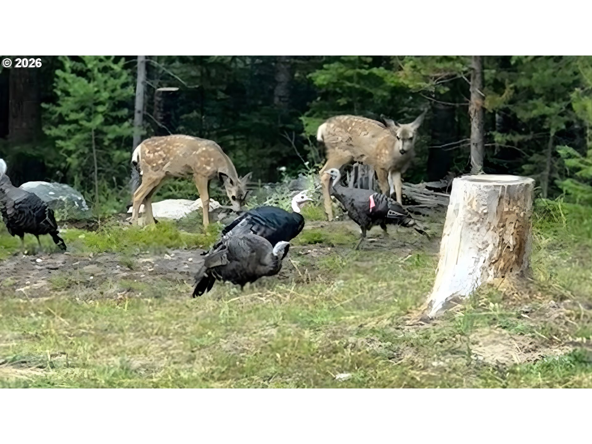60839 Liberty Road Joseph, OR 97846 - Photo 27 of 31