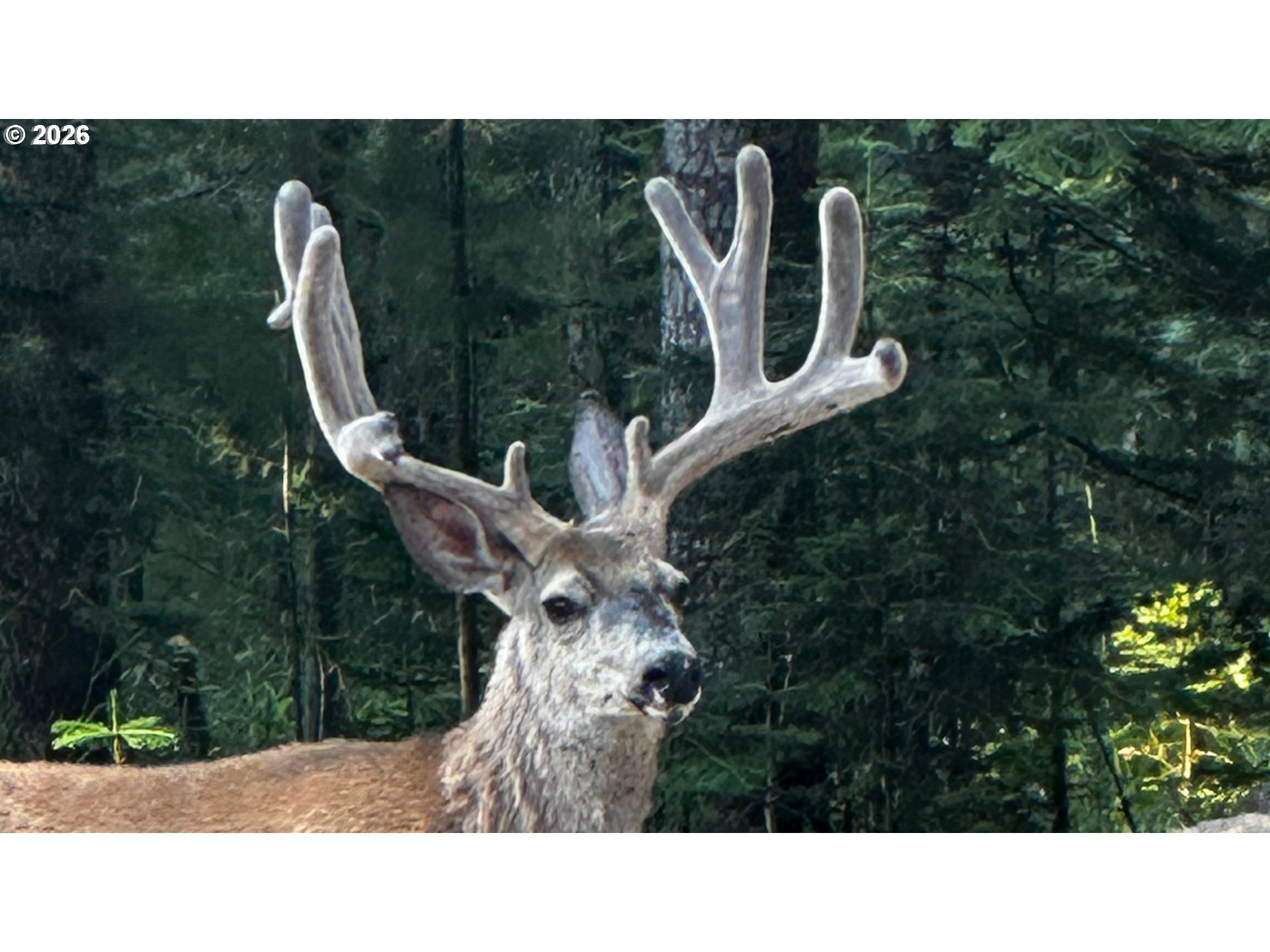 60839 Liberty Road Joseph, OR 97846 - Photo 29 of 31