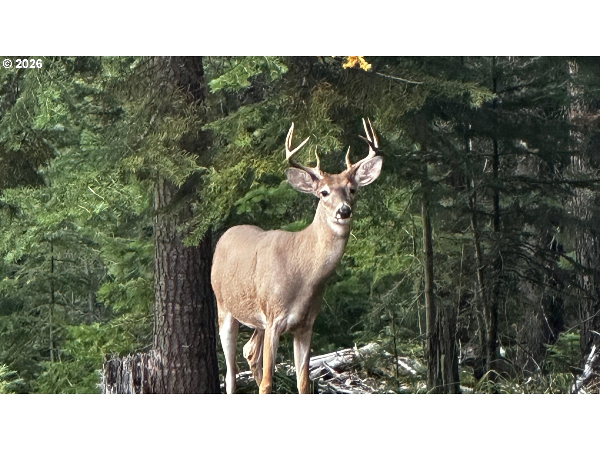 60839 Liberty Road Joseph, OR 97846 - Photo 30 of 31