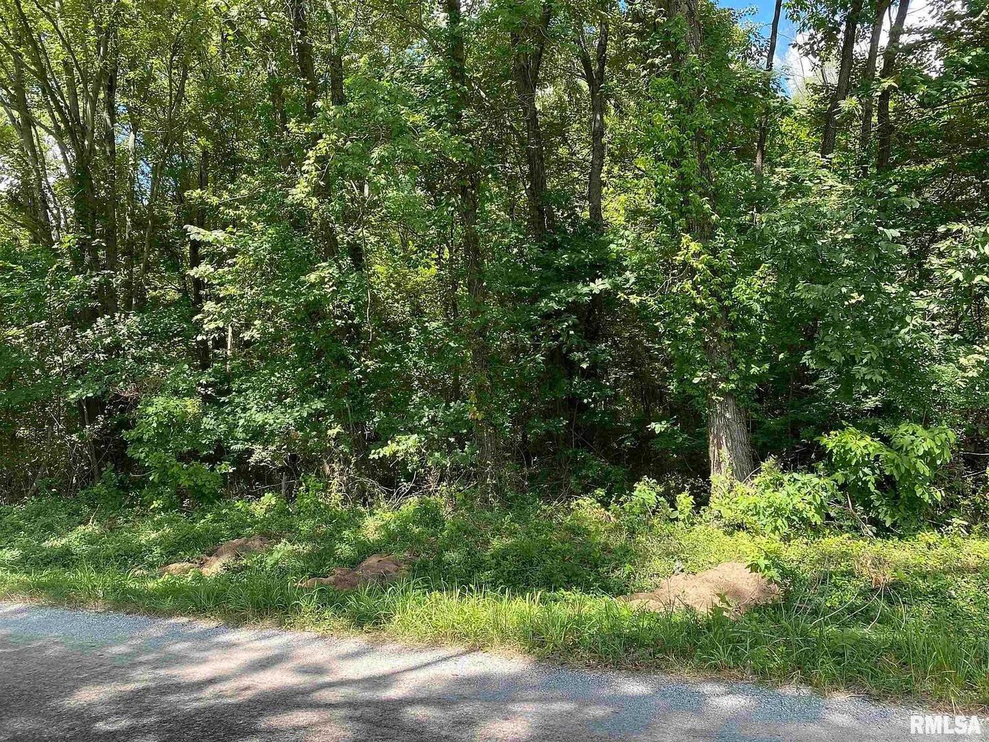 0 4th Street Bluford, IL 62814 - Photo 3 of 5 a view of a lush green forest