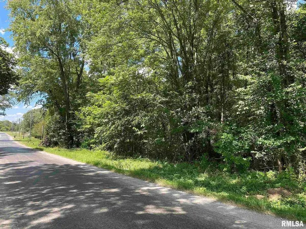 a view of a yard with plants and trees