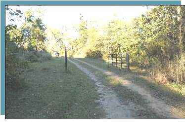 11 Renshaw Road Yazoo City, MS 39194 - Photo 1 of 9 Photo 1