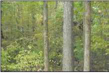 11 Renshaw Road Yazoo City, MS 39194 - Photo 3 of 9 Photo 3